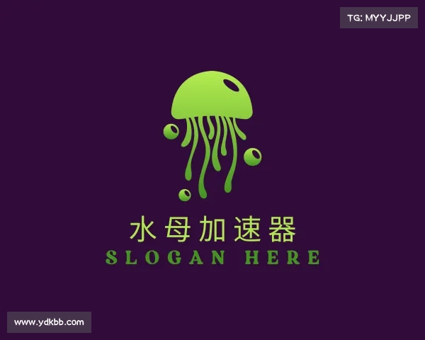 了解水母加速器